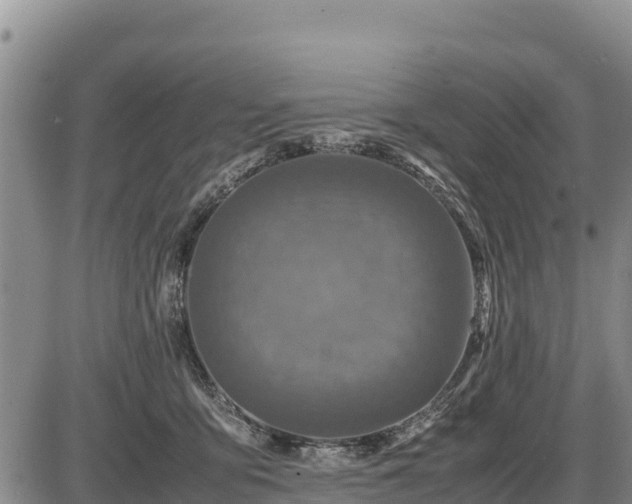 X0000087420419200704271742