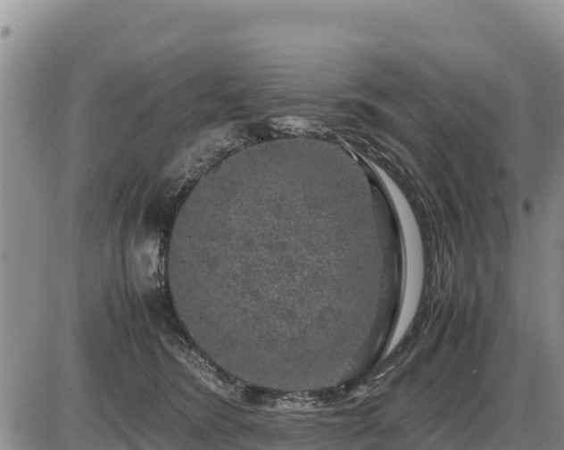 X0000087420420200704271742