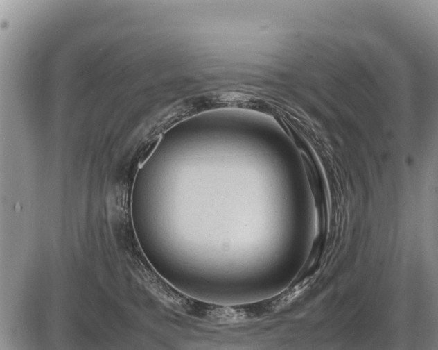 X0000087420421200704271742