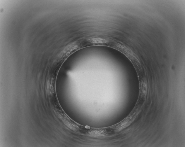 X0000087420422200704271742