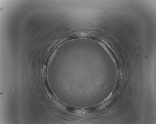 X0000087420423200704271742