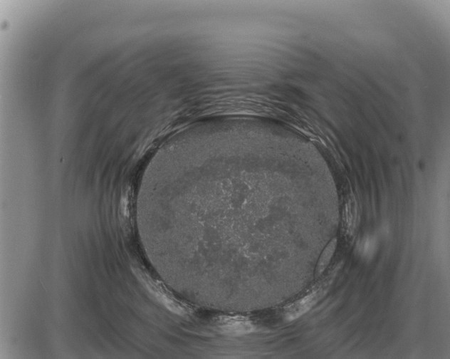 X0000087420424200704271742