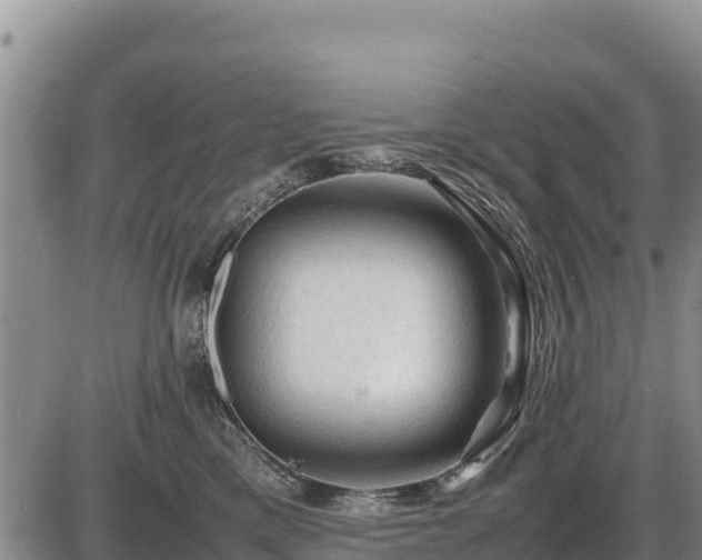 X0000087420425200704271742