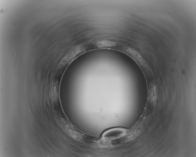 X0000087420426200704271742