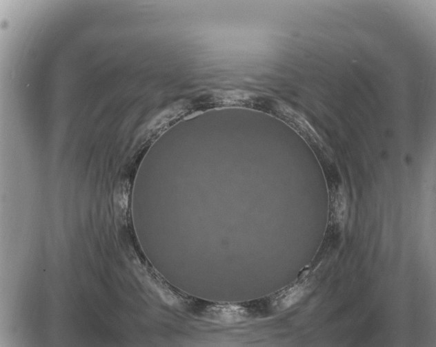 X0000087420427200704271742