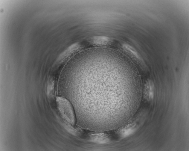 X0000087420428200704271742