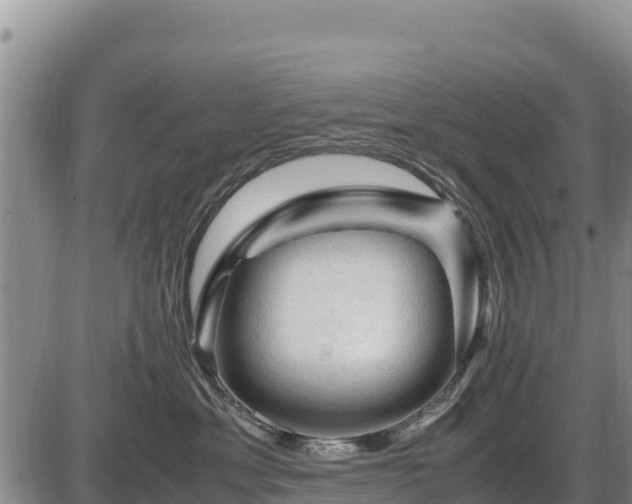 X0000087420429200704271742