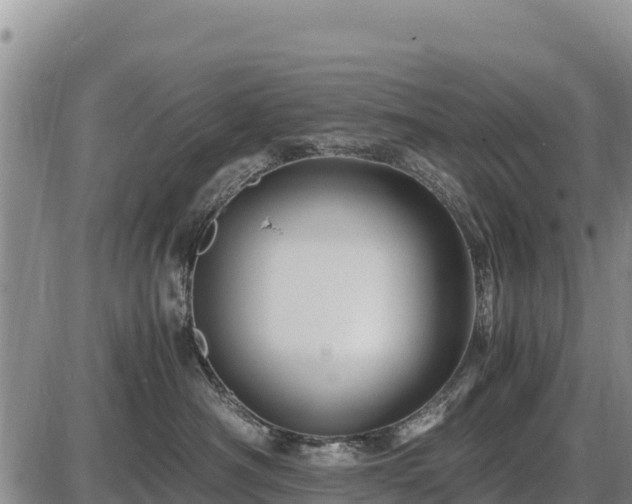 X0000087420430200704271742