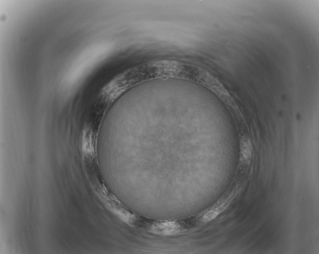 X0000087420431200704271742