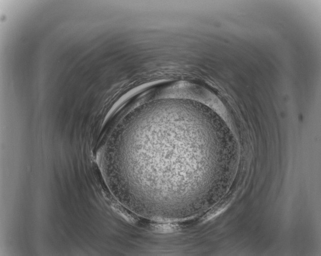 X0000087420432200704271742