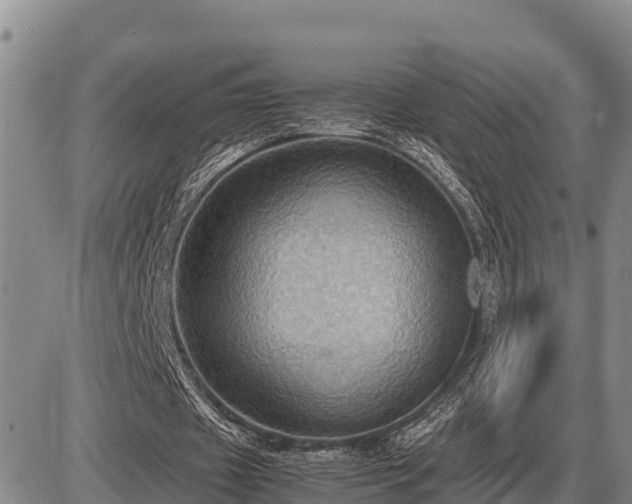 X0000087420433200704271741