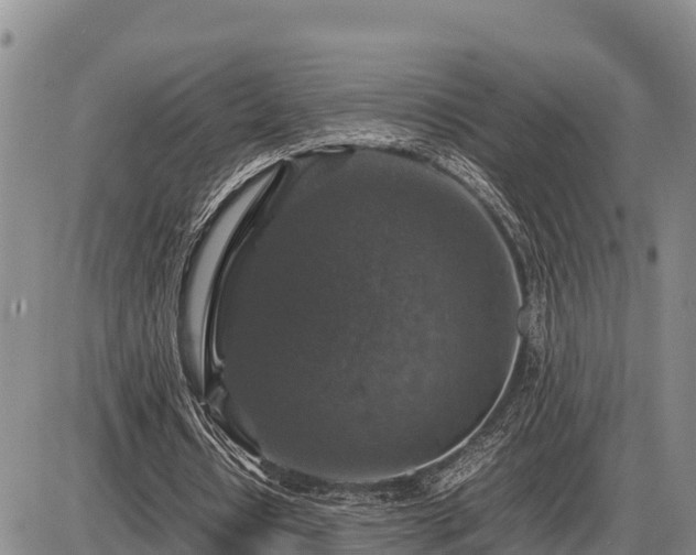 X0000087420434200704271741