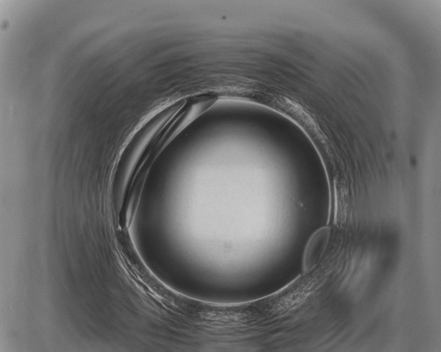 X0000087420435200704271741