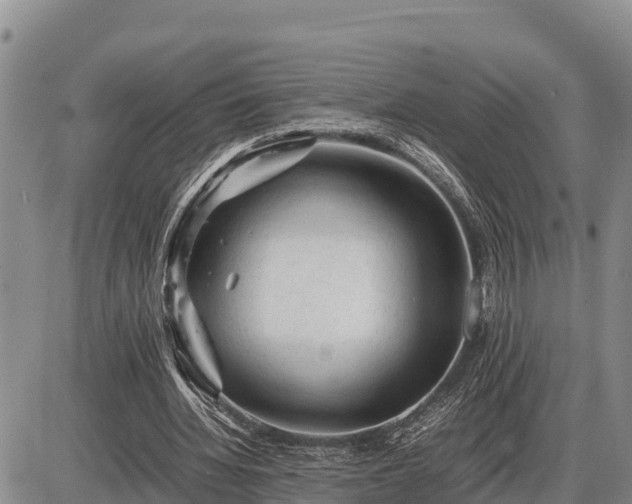 X0000087420436200704271741