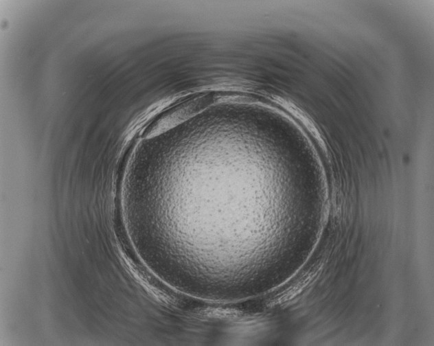 X0000087420437200704271741