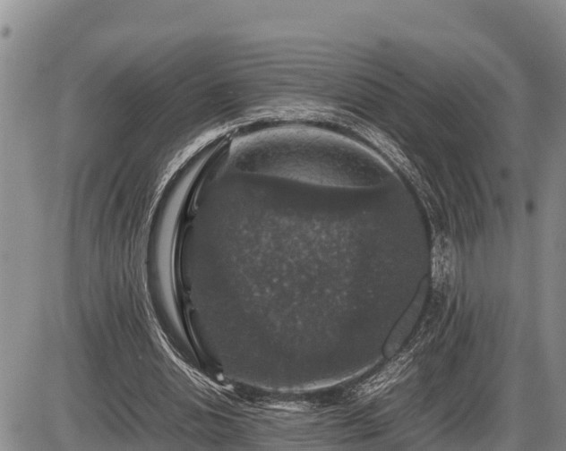 X0000087420438200704271741