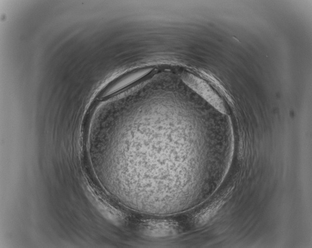 X0000087420439200704271741