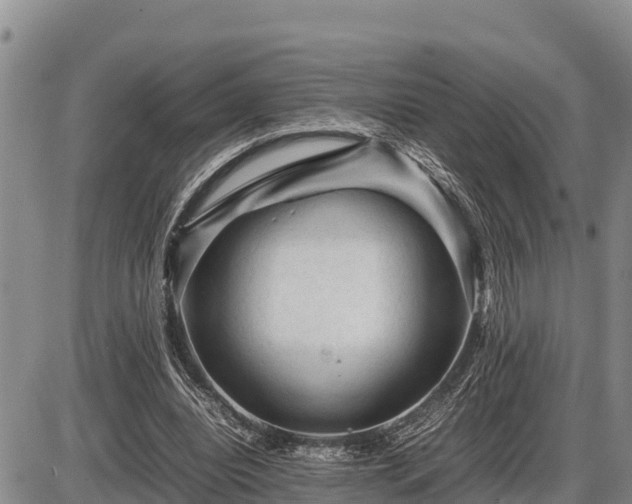 X0000087420440200704271741