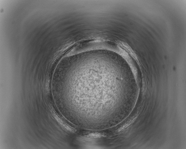 X0000087420441200704271741