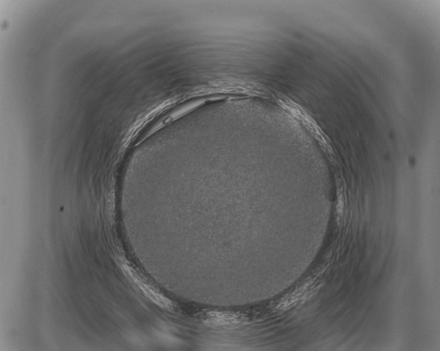 X0000087420442200704271741