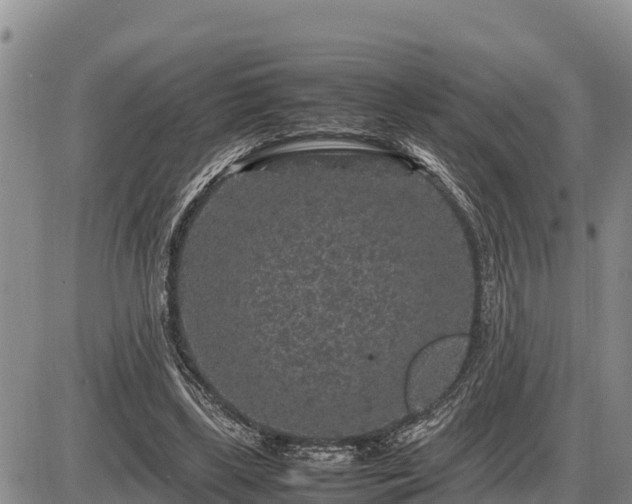 X0000087420443200704271741