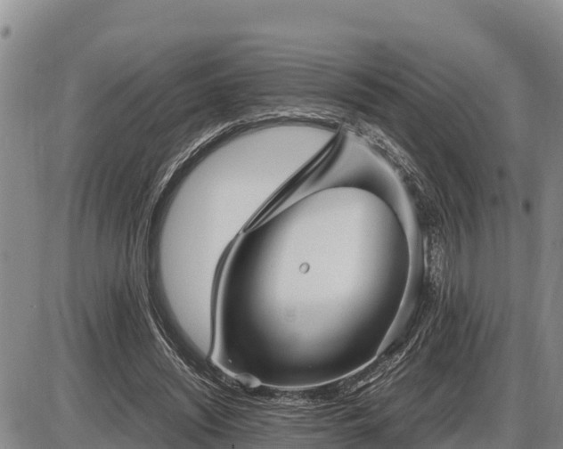 X0000087420444200704271741