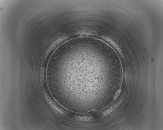 X0000087420445200704271741