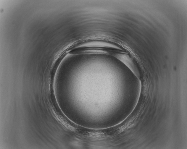 X0000087420446200704271741