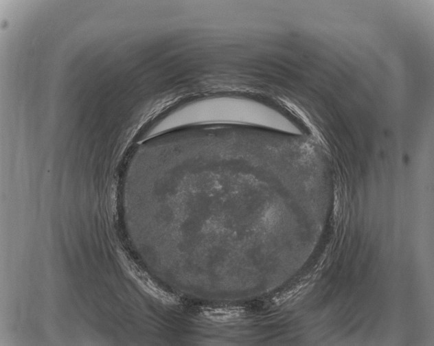 X0000087420447200704271741