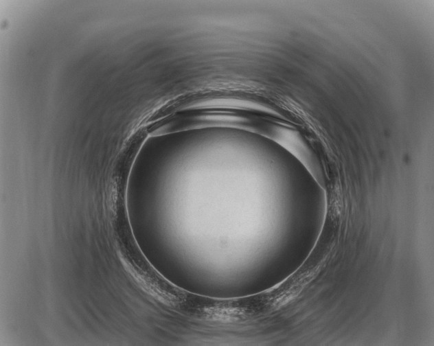 X0000087420448200704271741