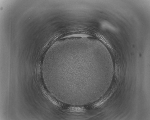 X0000087420449200704271741