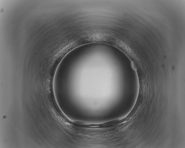 X0000087420450200704271741