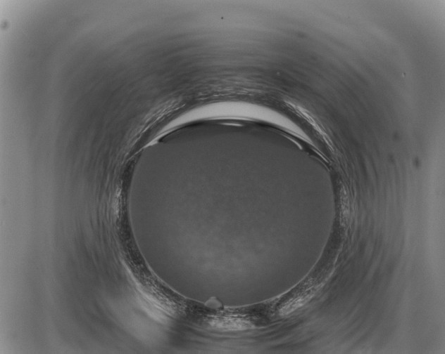 X0000087420451200704271741