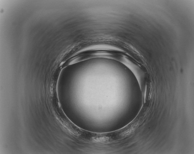 X0000087420452200704271741