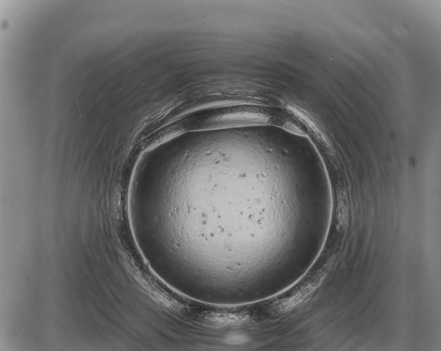 X0000087420453200704271741