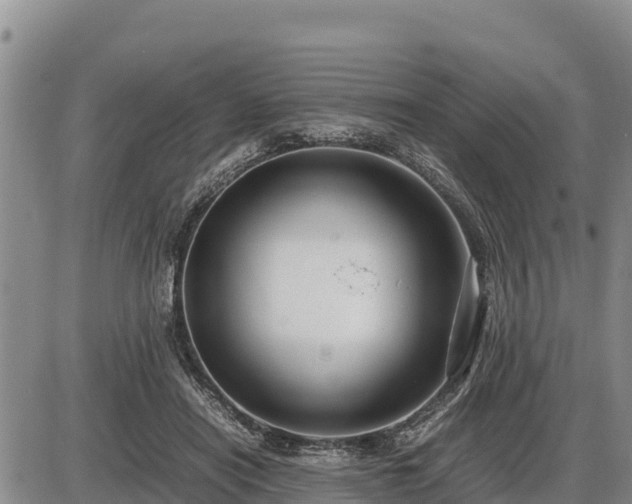 X0000087420454200704271741