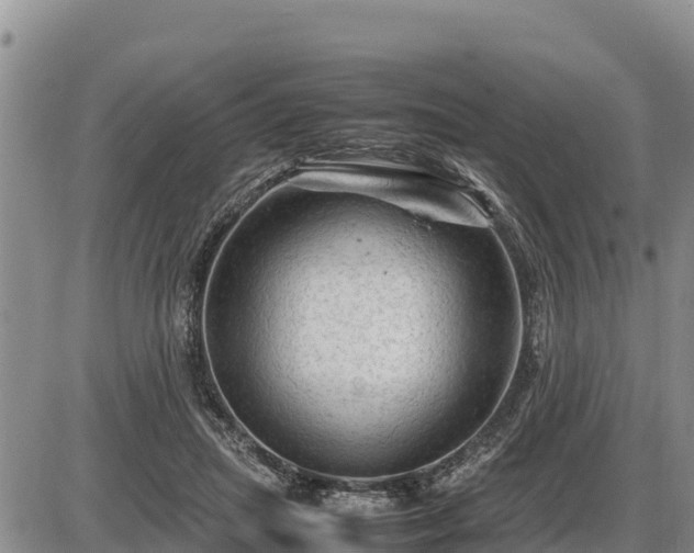 X0000087420455200704271741