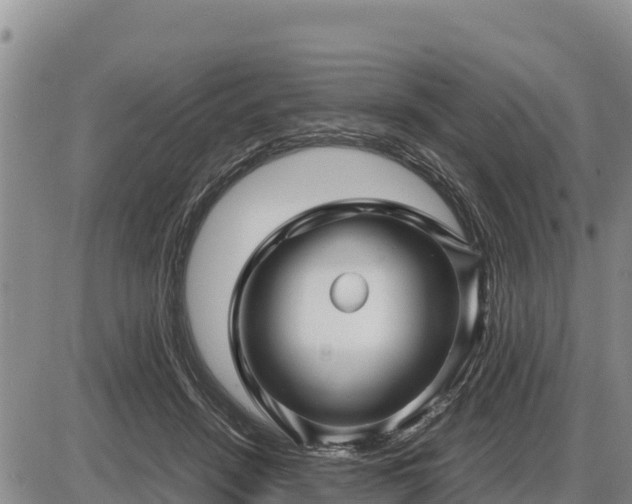 X0000087420456200704271741