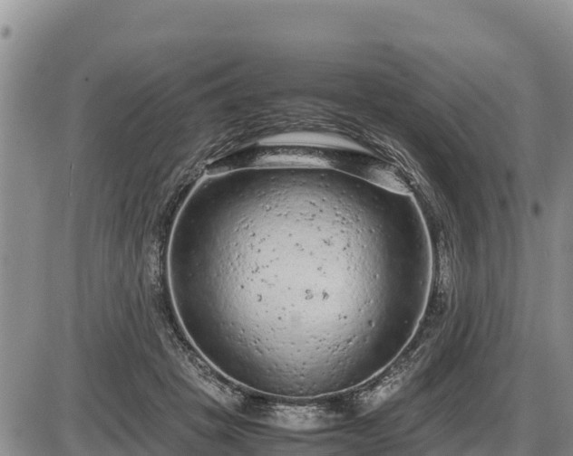 X0000087420457200704271741