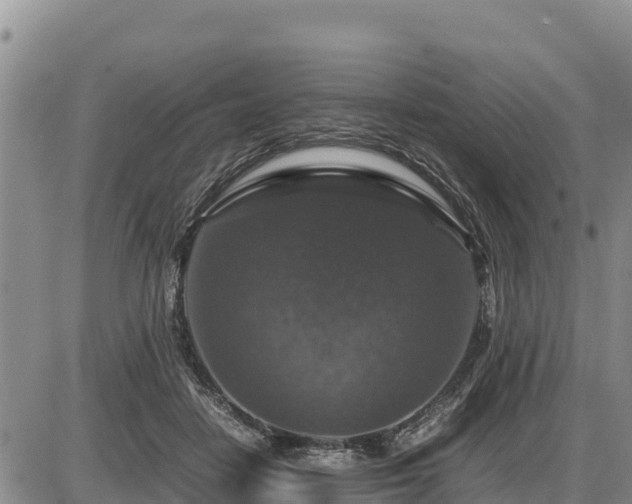 X0000087420458200704271741