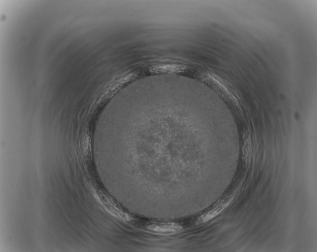 X0000087420459200704271741