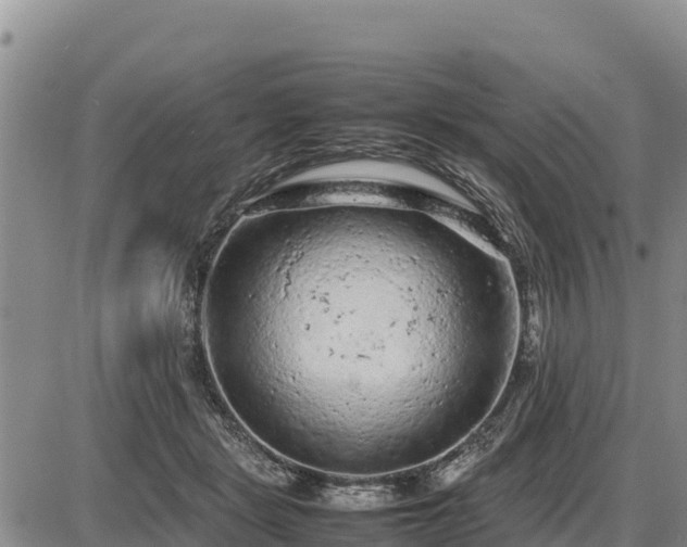 X0000087420461200704271741