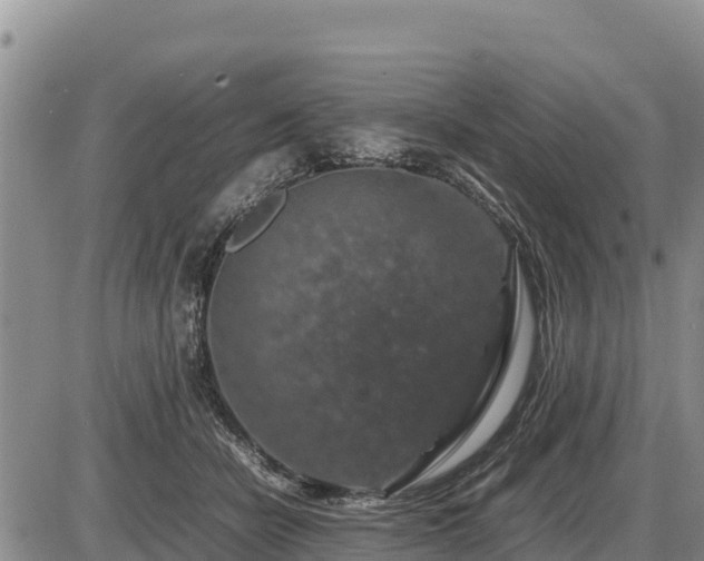 X0000087420462200704271741