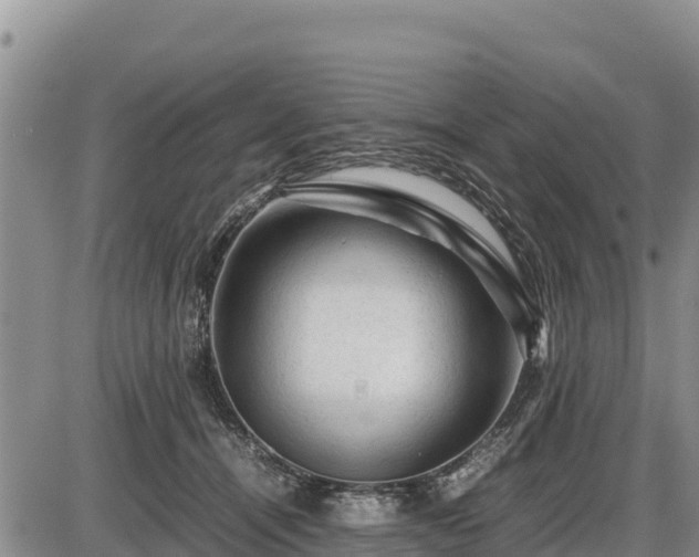 X0000087420464200704271741