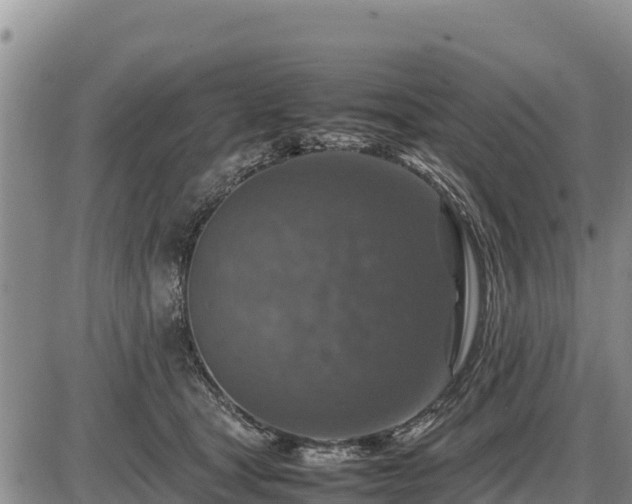 X0000087420465200704271741