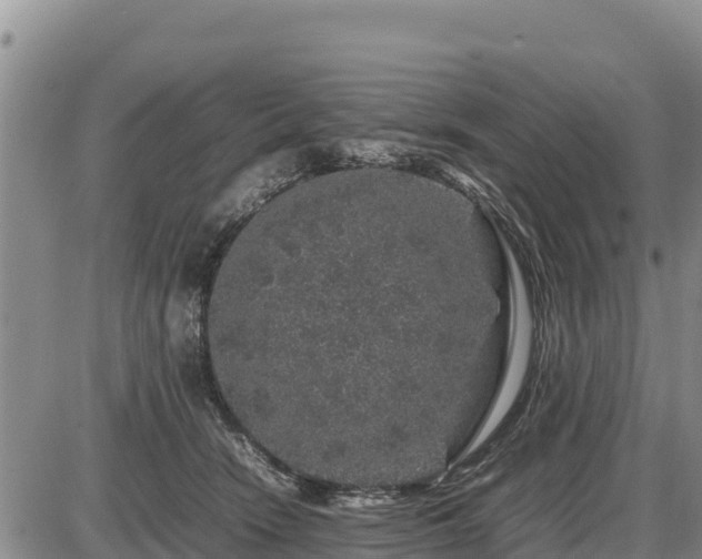 X0000087420466200704271741