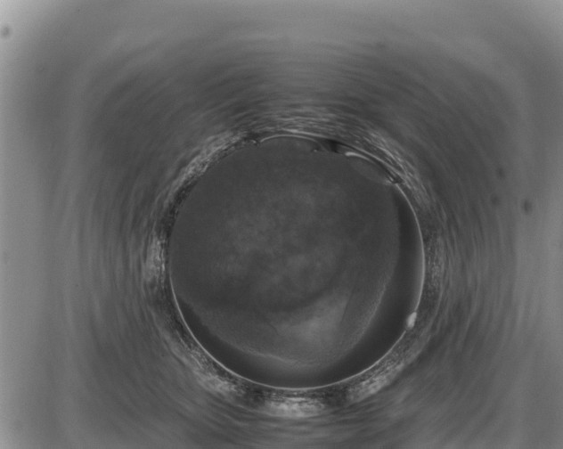 X0000087420467200704271741