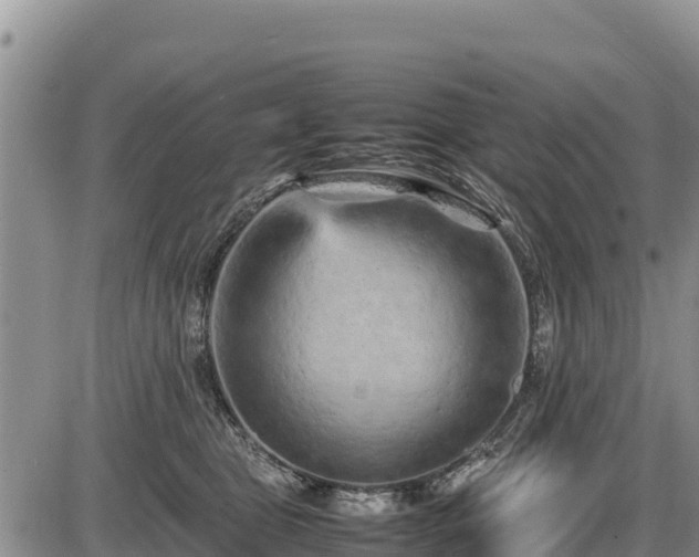 X0000087420469200704271741