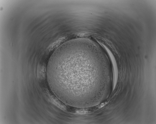 X0000087420470200704271741