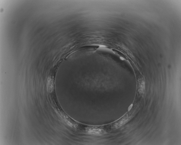 X0000087420471200704271741